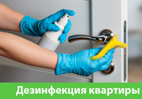 Дезинфекция квартиры в городе Тольятти