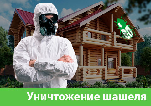 Уничтожение шашеля и личинок в Тольятти